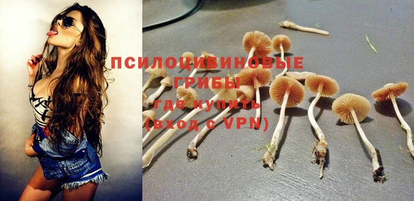 2c-b Белоозёрский
