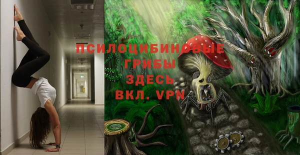 метадон Белокуриха